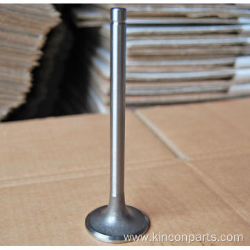 Engine Valves LR4105